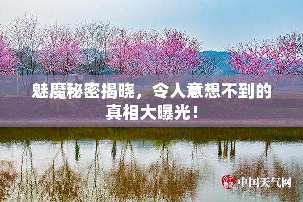 魅魔秘密揭晓，令人意想不到的真相大曝光！