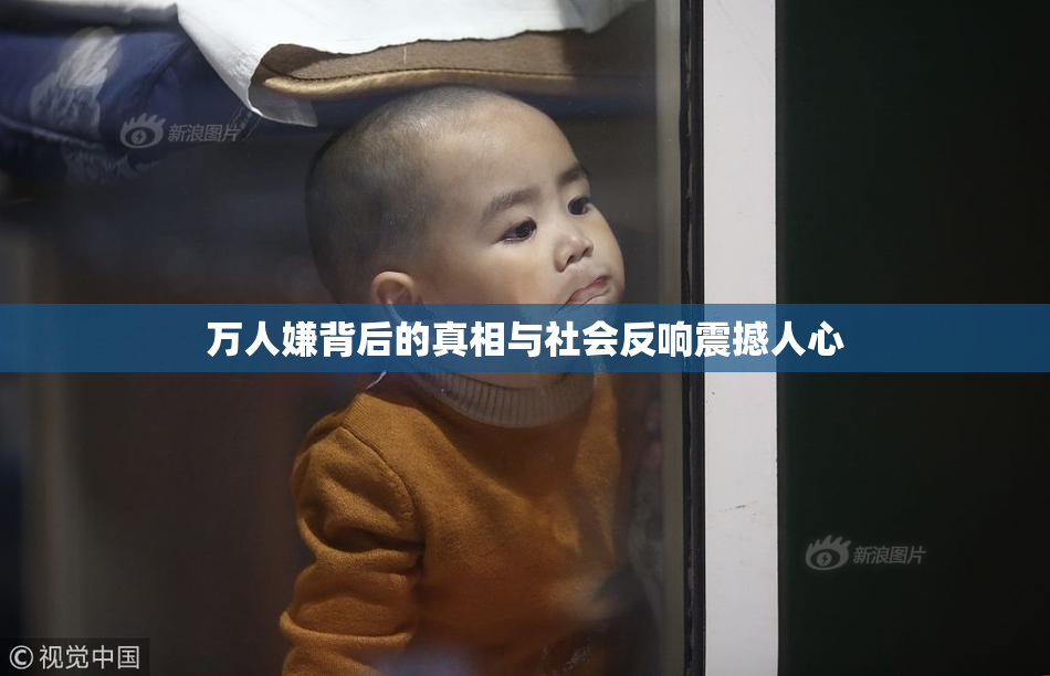 万人嫌背后的真相与社会反响震撼人心