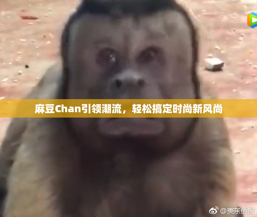 麻豆Chan引领潮流，轻松搞定时尚新风尚