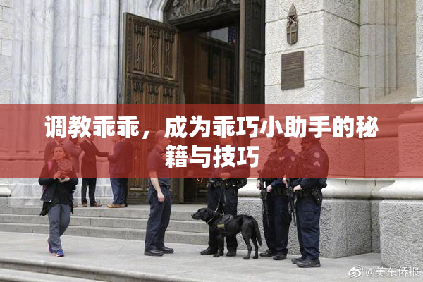 调教乖乖，成为乖巧小助手的秘籍与技巧