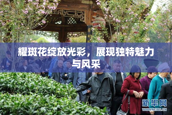 耀斑花绽放光彩，展现独特魅力与风采