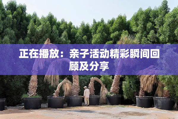 正在播放：亲子活动精彩瞬间回顾及分享