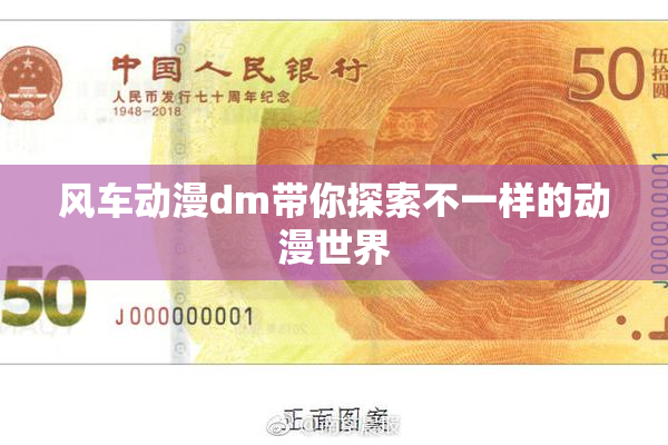 风车动漫dm带你探索不一样的动漫世界