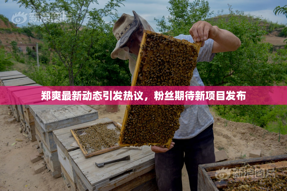 郑爽最新动态引发热议，粉丝期待新项目发布