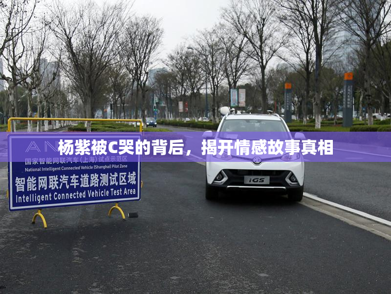 杨紫被C哭的背后，揭开情感故事真相