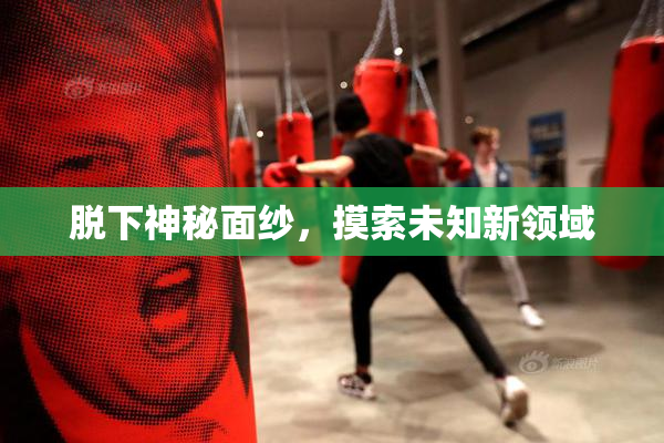 脱下神秘面纱，摸索未知新领域