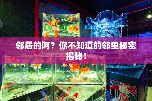 邻居的阿？你不知道的邻里秘密揭秘！