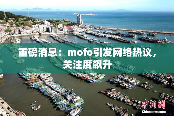 重磅消息：mofo引发网络热议，关注度飙升
