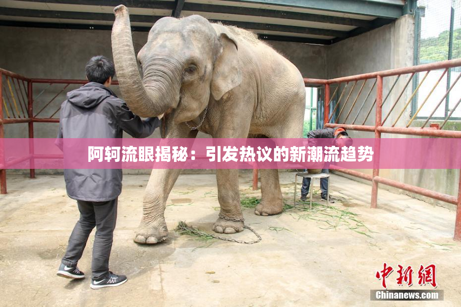 阿轲流眼揭秘：引发热议的新潮流趋势