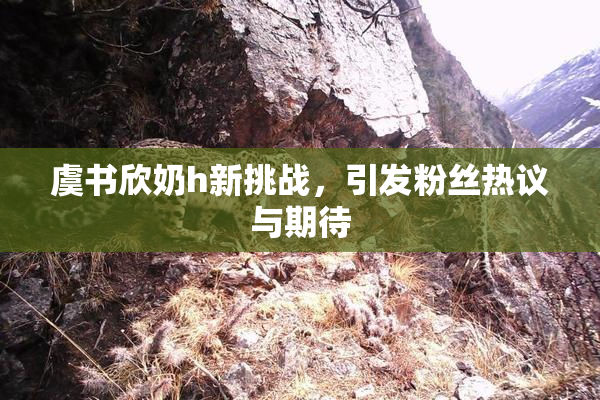 虞书欣奶h新挑战，引发粉丝热议与期待