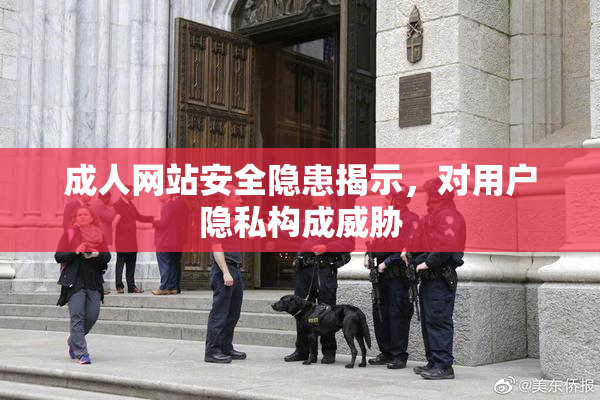 成人网站安全隐患揭示，对用户隐私构成威胁