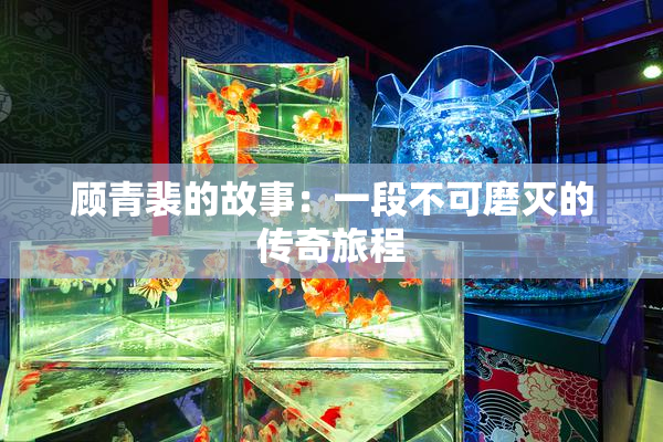 顾青裴的故事：一段不可磨灭的传奇旅程