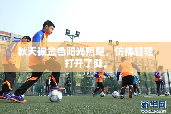 秋天被金色阳光照耀，仿佛轻轻打开了腿。