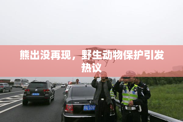 熊出没再现，野生动物保护引发热议