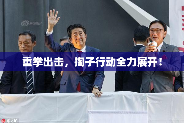 重拳出击，掏子行动全力展开！