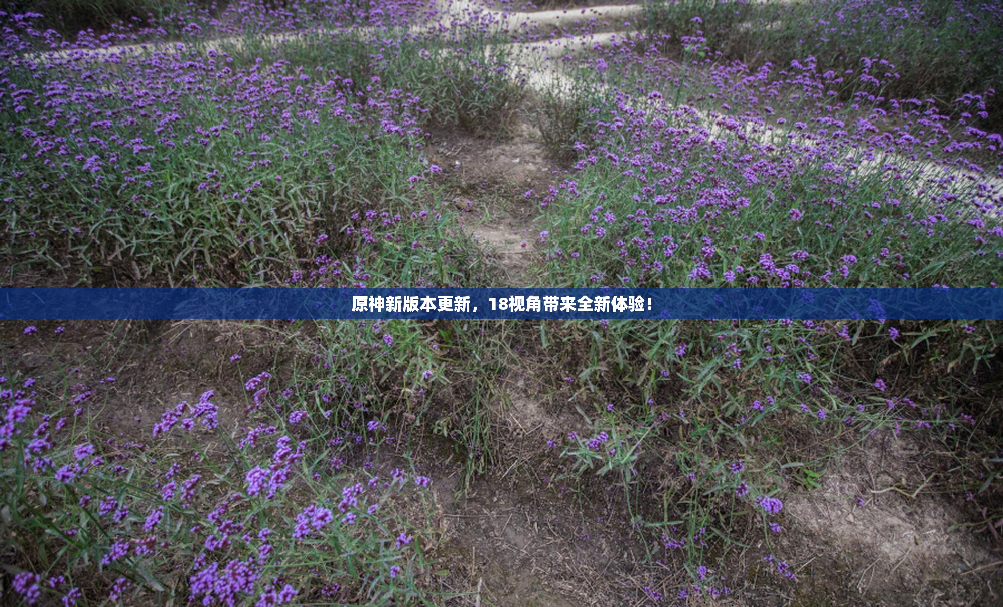 原神新版本更新，18视角带来全新体验！
