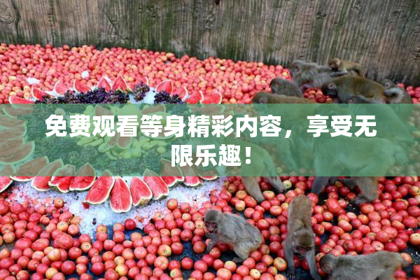 免费观看等身精彩内容，享受无限乐趣！