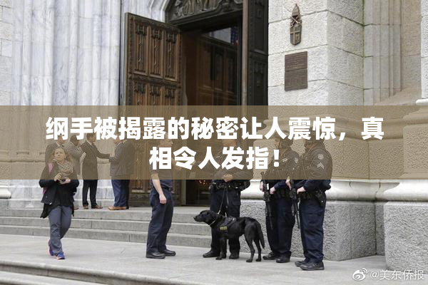 纲手被揭露的秘密让人震惊，真相令人发指！