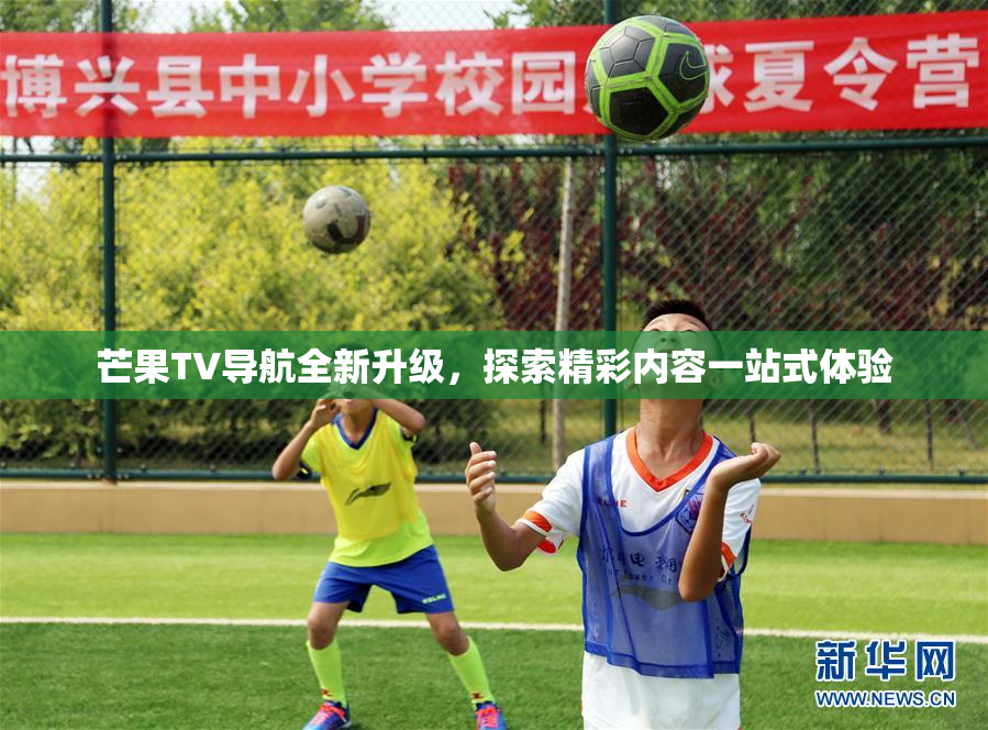 芒果TV导航全新升级，探索精彩内容一站式体验