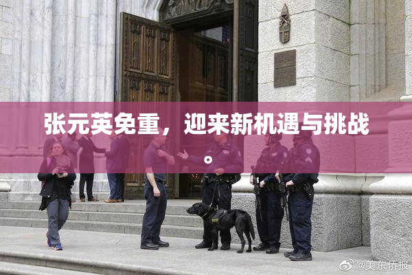 张元英免重，迎来新机遇与挑战。