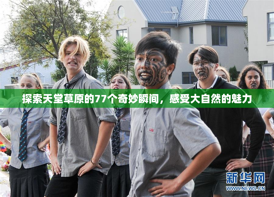 探索天堂草原的77个奇妙瞬间，感受大自然的魅力