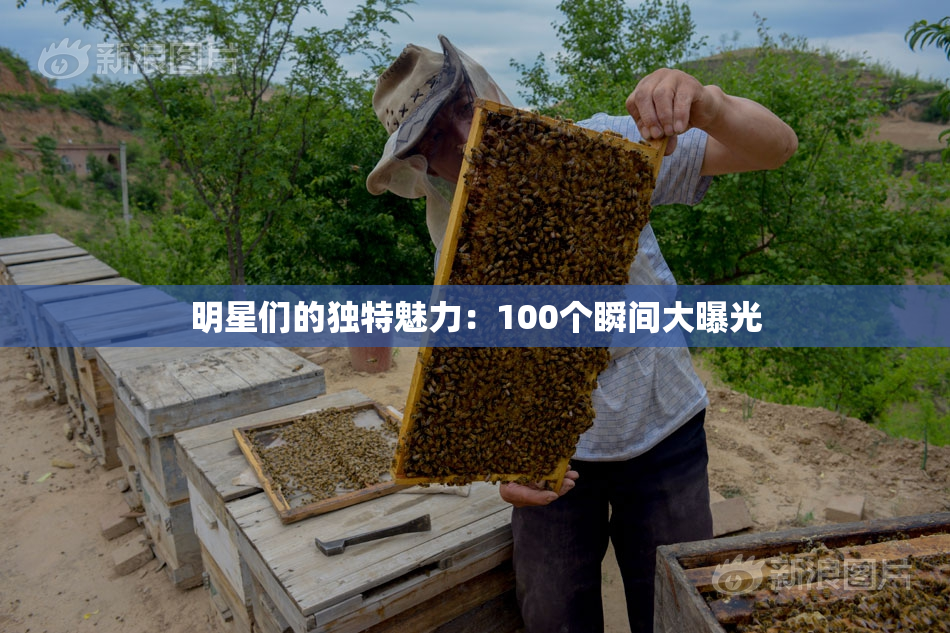 明星们的独特魅力：100个瞬间大曝光