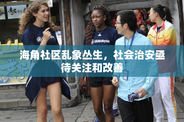 海角社区乱象丛生，社会治安亟待关注和改善