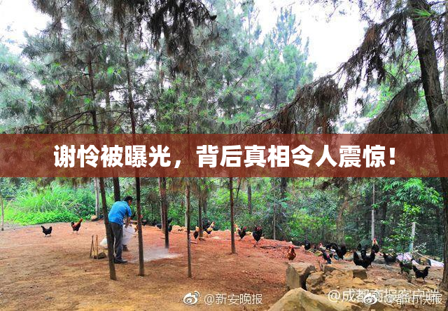 谢怜被曝光，背后真相令人震惊！