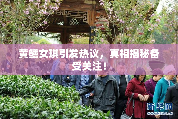 黄鳝女琪引发热议，真相揭秘备受关注！