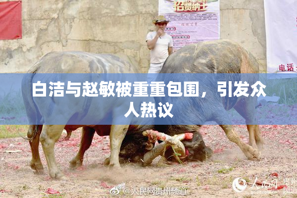 白洁与赵敏被重重包围，引发众人热议