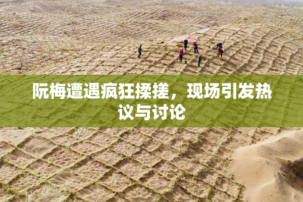阮梅遭遇疯狂揉搓，现场引发热议与讨论