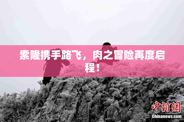 索隆携手路飞，肉之冒险再度启程！
