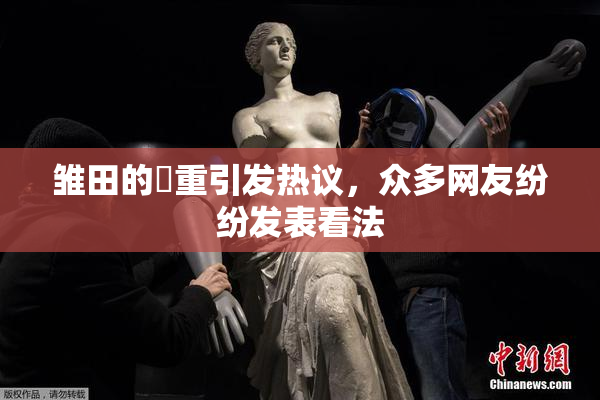 雏田的婬重引发热议，众多网友纷纷发表看法
