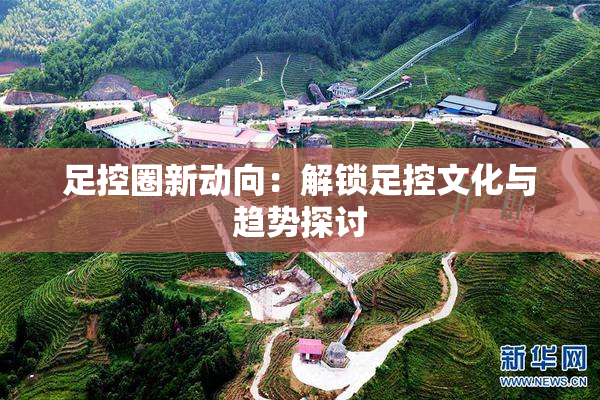 足控圈新动向：解锁足控文化与趋势探讨