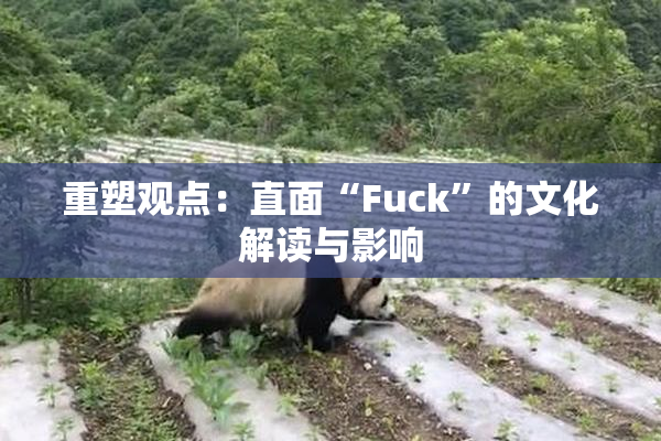 重塑观点：直面“Fuck”的文化解读与影响