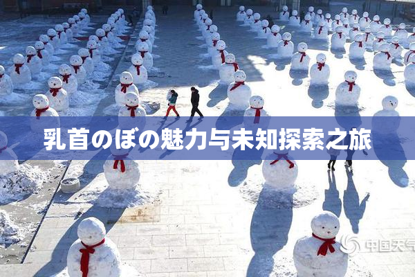 乳首のぼの魅力与未知探索之旅