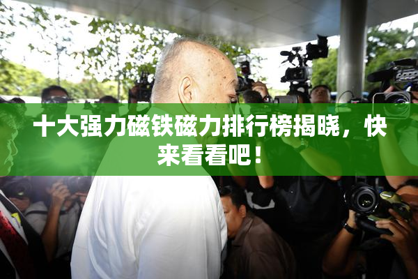 十大强力磁铁磁力排行榜揭晓，快来看看吧！