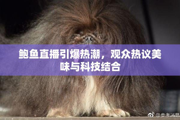 鲍鱼直播引爆热潮，观众热议美味与科技结合