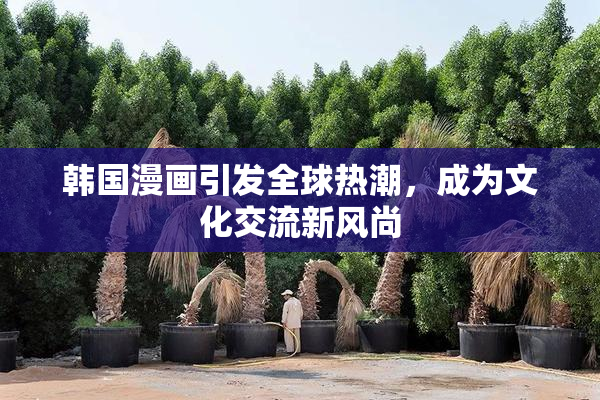 韩国漫画引发全球热潮，成为文化交流新风尚