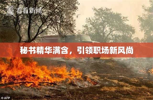 秘书精华满含，引领职场新风尚