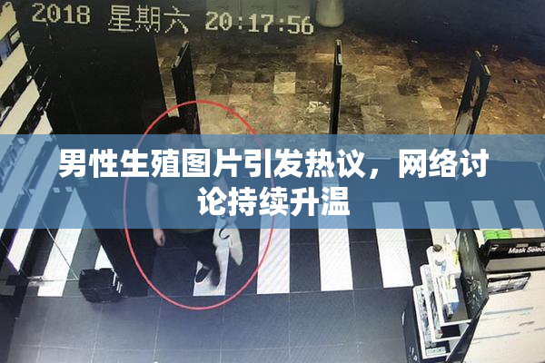 男性生殖图片引发热议，网络讨论持续升温