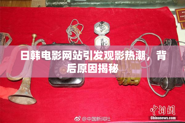 日韩电影网站引发观影热潮，背后原因揭秘
