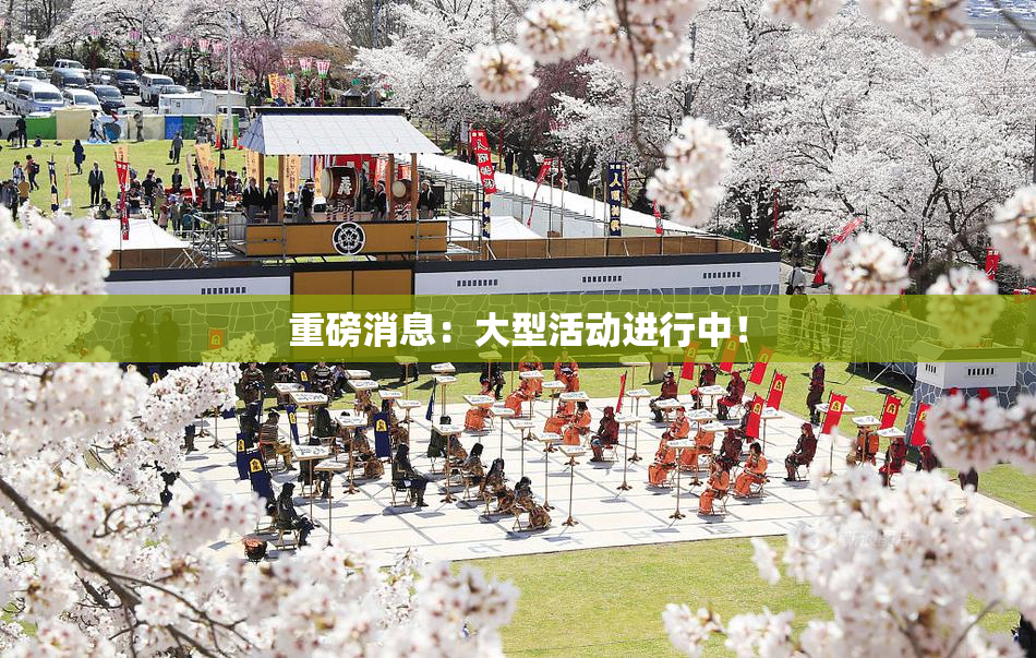 重磅消息：大型活动进行中！