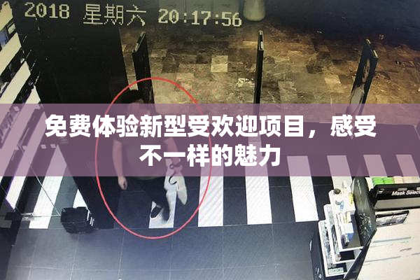 免费体验新型受欢迎项目，感受不一样的魅力