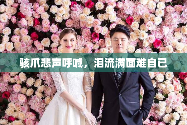骇爪悲声呼喊，泪流满面难自已
