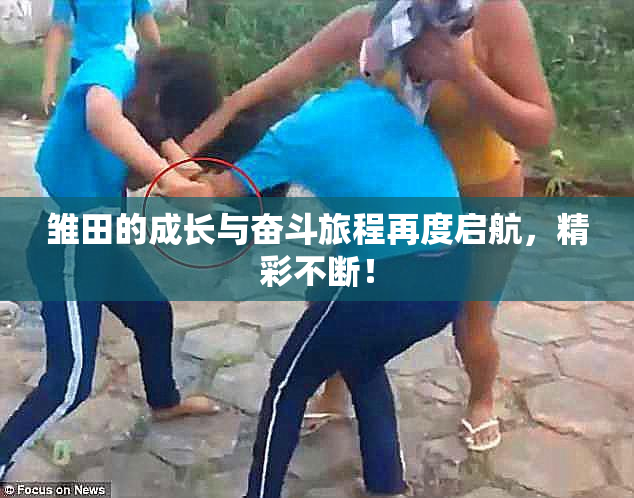 雏田的成长与奋斗旅程再度启航，精彩不断！