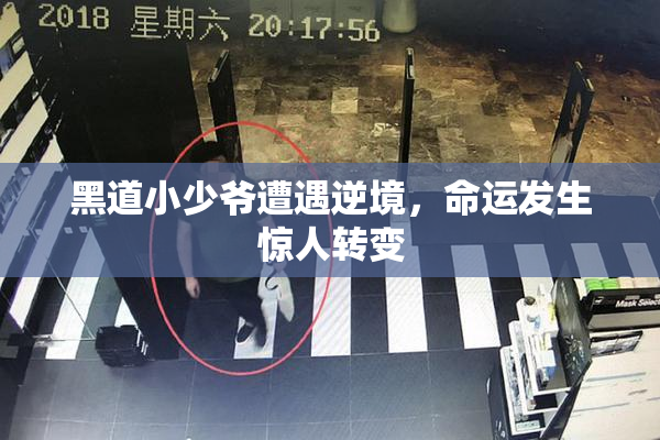 黑道小少爷遭遇逆境，命运发生惊人转变