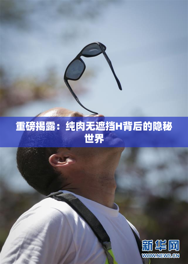 重磅揭露：纯肉无遮挡H背后的隐秘世界