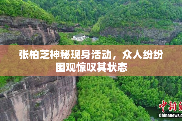 张柏芝神秘现身活动，众人纷纷围观惊叹其状态
