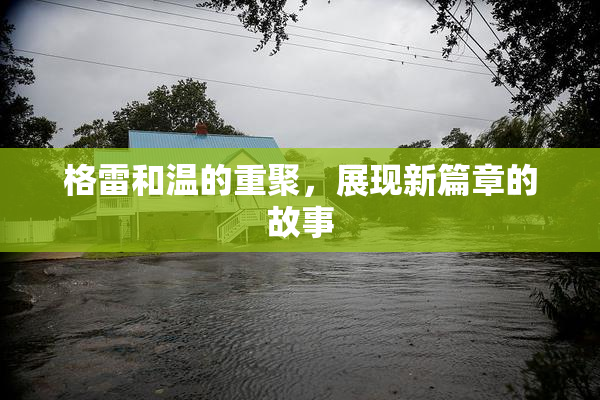 格雷和温的重聚，展现新篇章的故事